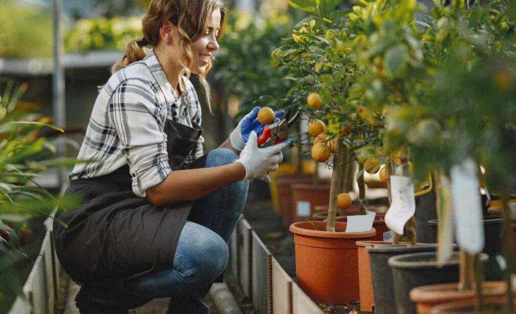 A woman kneeling down in the middle of a garden.