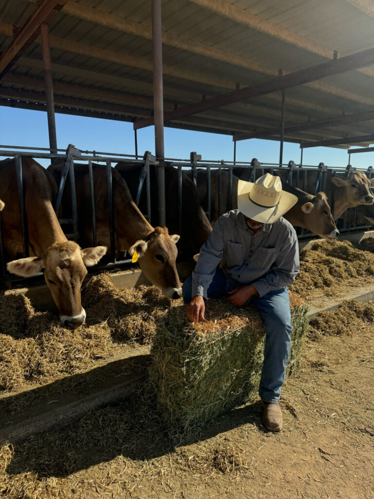 A man sitting on hay in front of cows.